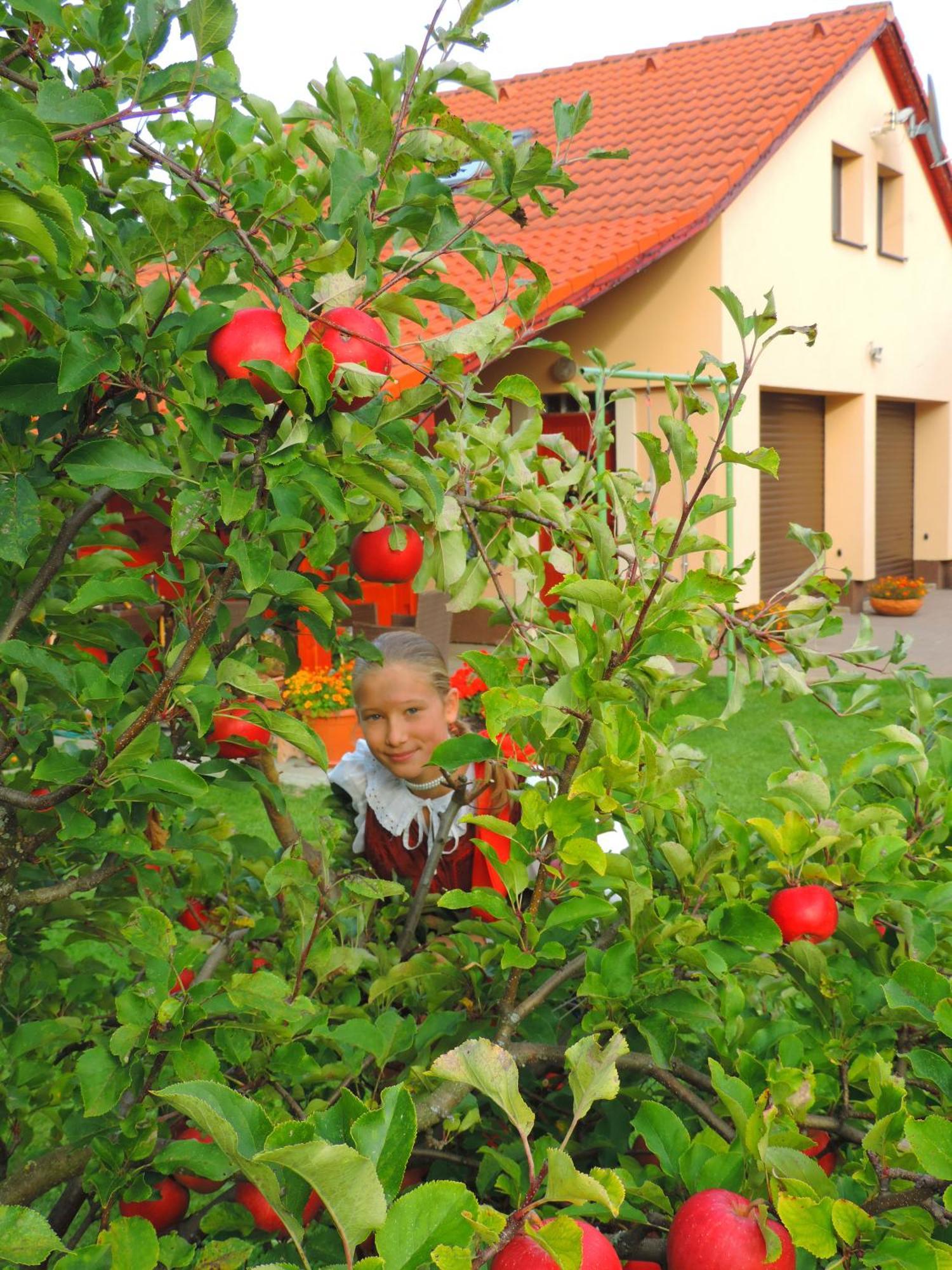 Holiday Home Linda Liptowski Mikułasz Zewnętrze zdjęcie